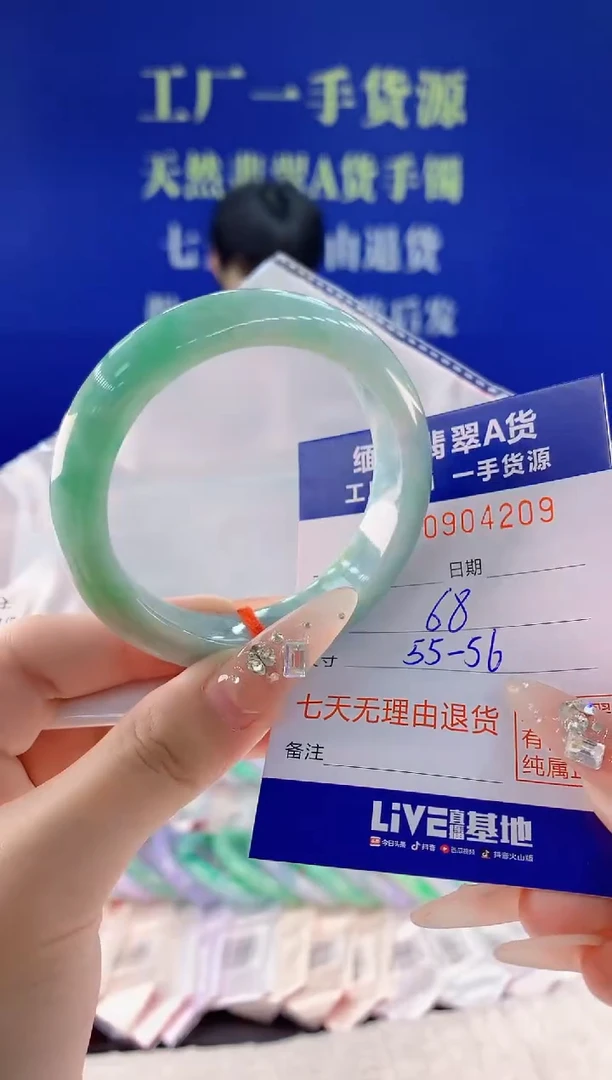 未镶嵌手镯翡翠09