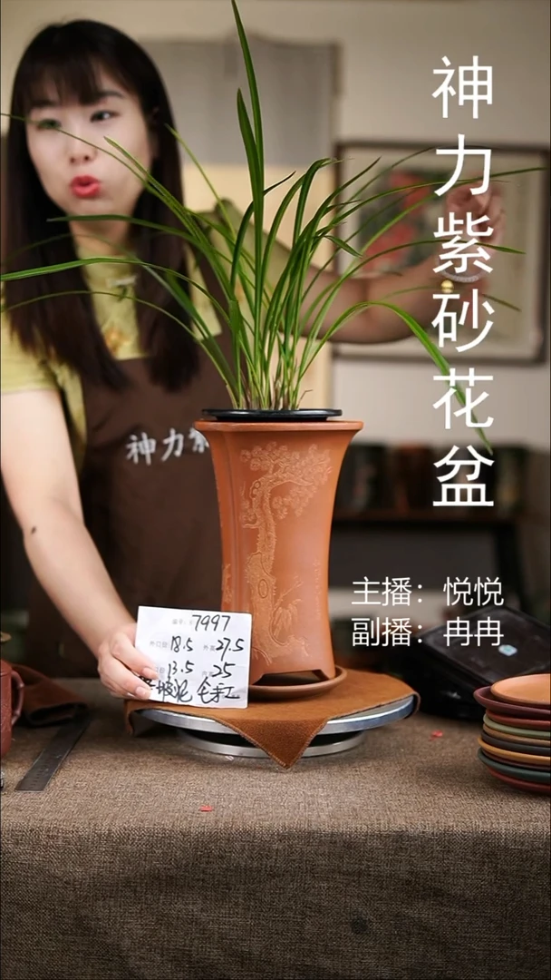 紫砂花盆紫砂花盆7997+z