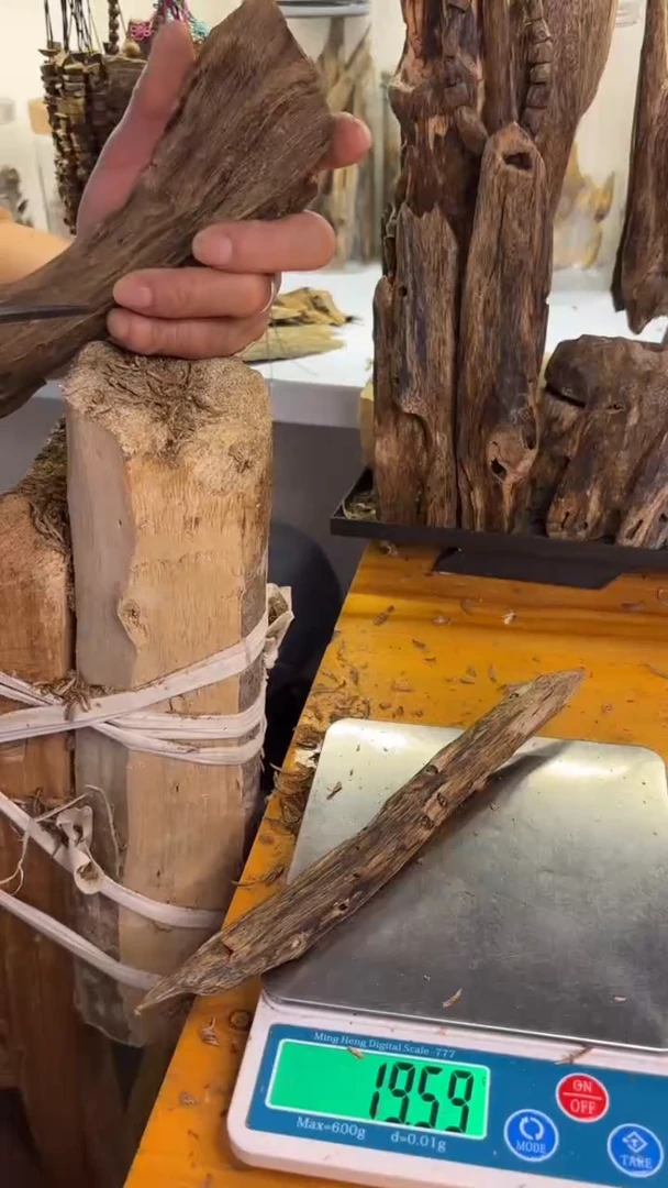 沉香沉香碎屑陆河品种19克