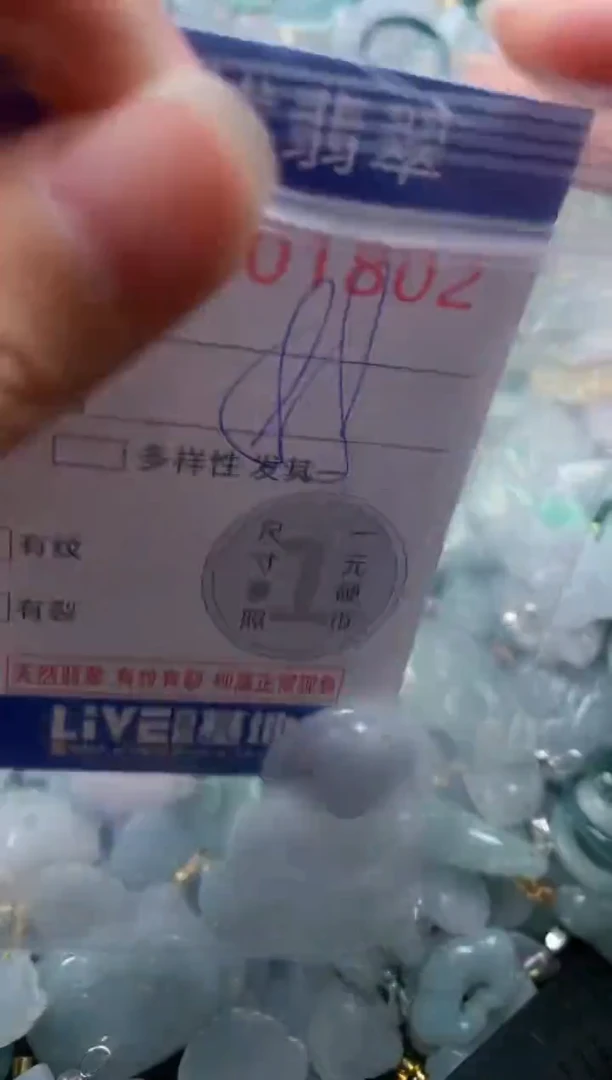 颈饰未镶嵌翡翠1802