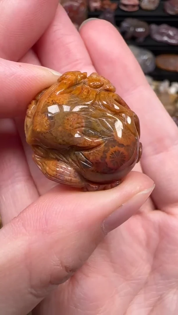 颈饰未镶嵌硅化珊瑚（珊瑚玉）145