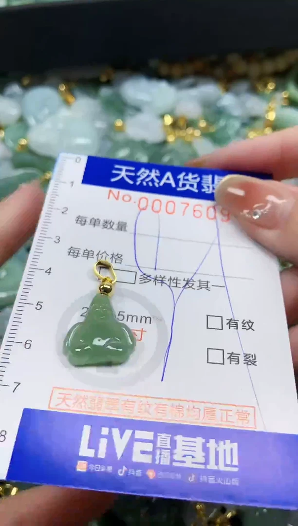 颈饰未镶嵌翡翠天然A货翡翠