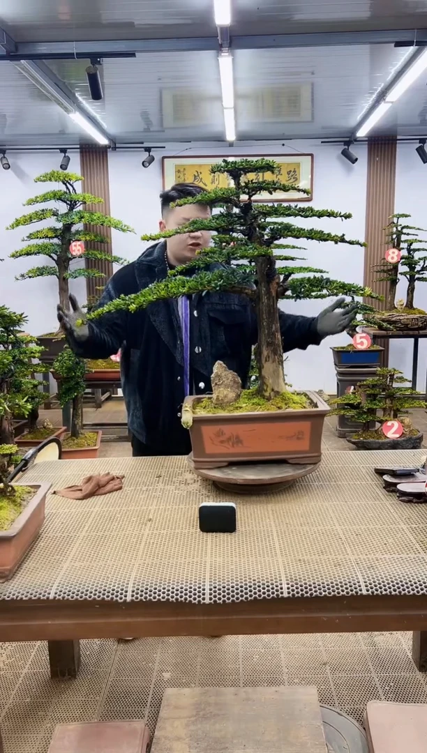 【闪购商品】00000000