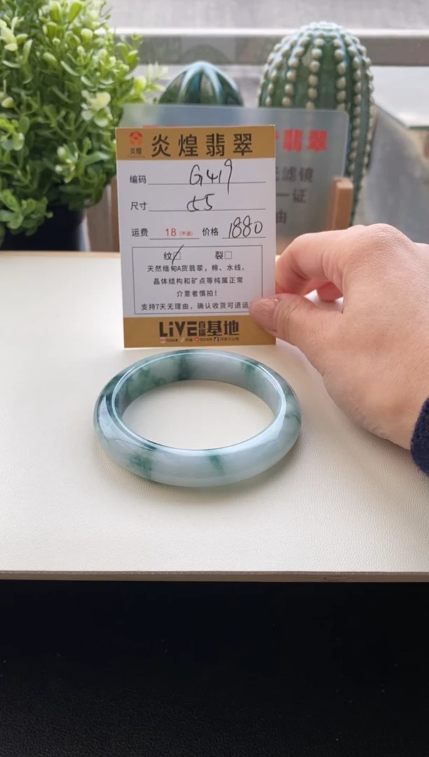 未镶嵌手镯翡翠55.8圈口编码G419