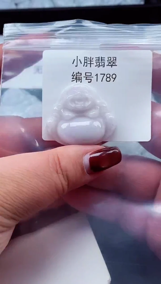 颈饰未镶嵌翡翠缅甸天然A货翡翠1789