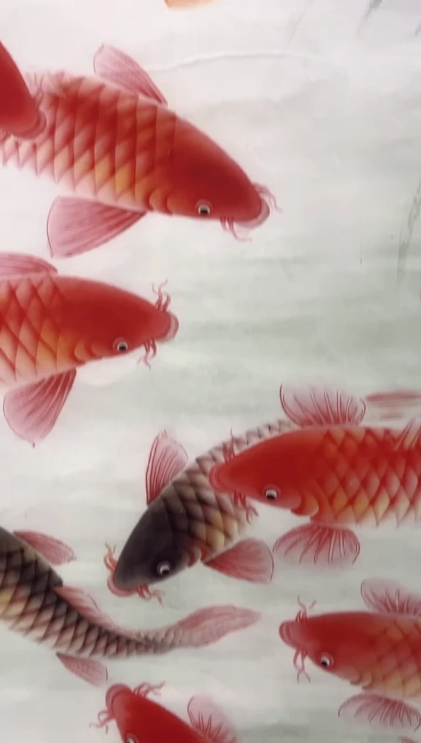 安哥专属精品链接69