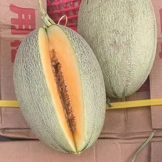 【三颗】[Y]好吃的哈密瓜 份/3枚 仅限太原晋中吕梁忻州可拍
