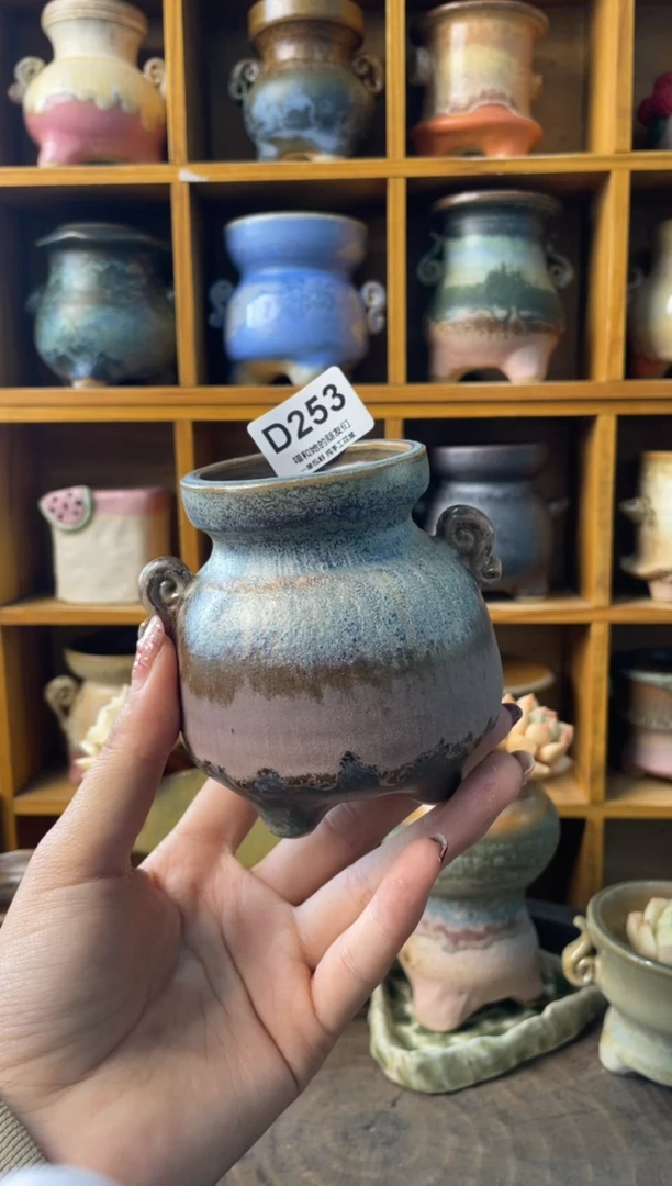 骄*253【多肉花盆多肉盆】