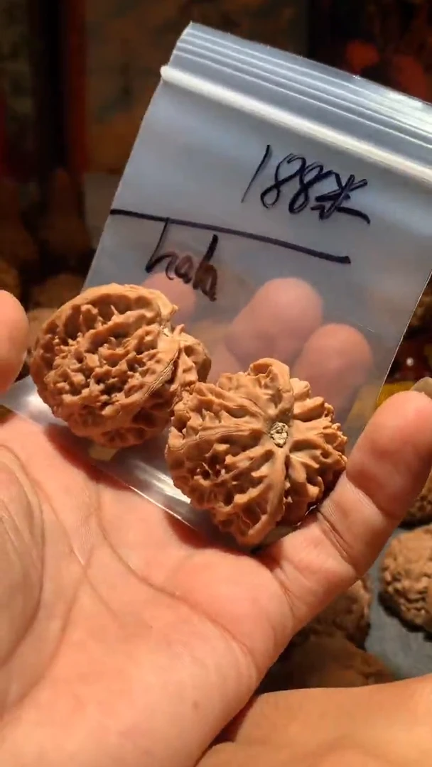 把件桃核h*h丰泰文玩  苹果园  42+  尺寸左右