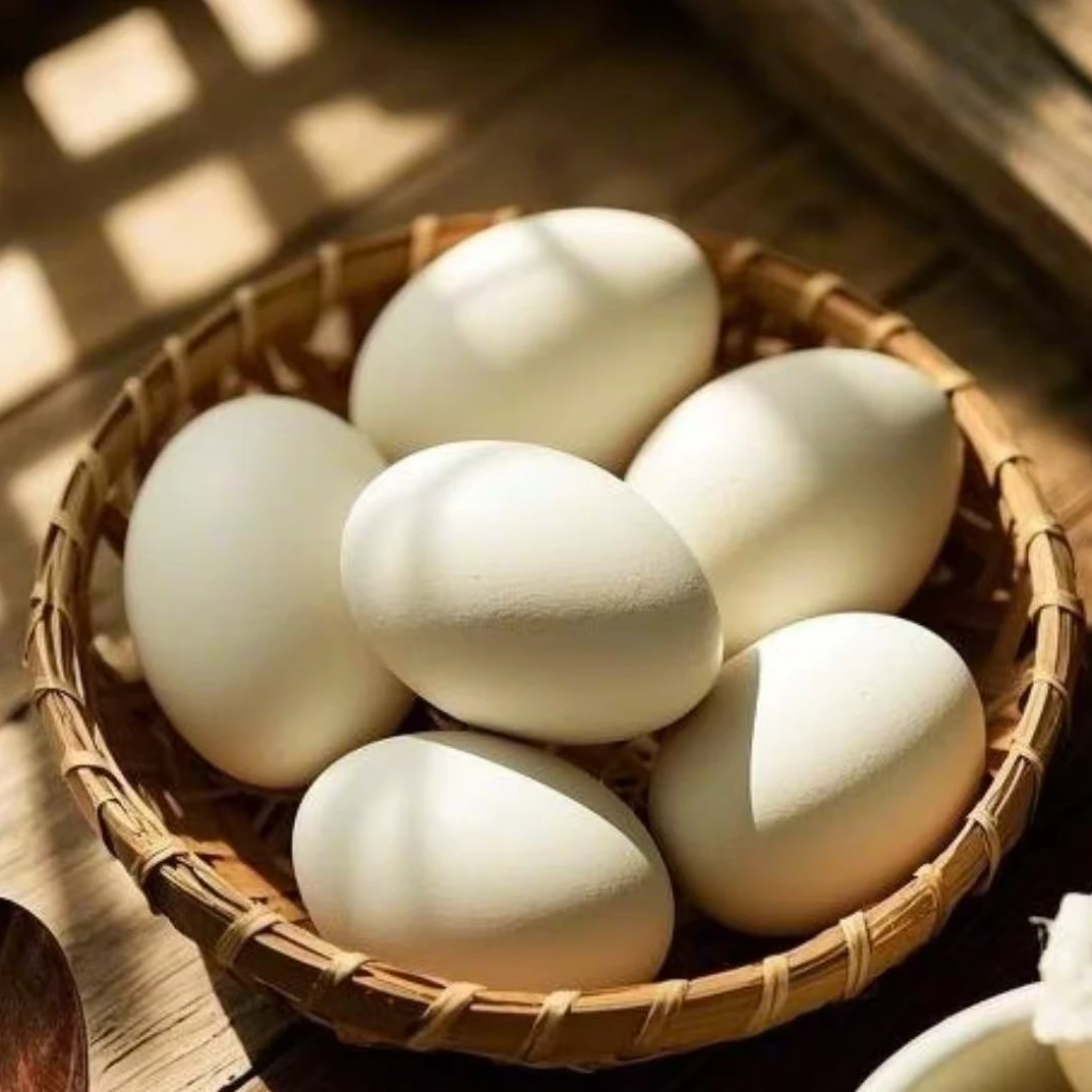 新鲜农村散养鹅鹅蛋礼盒115g-130g/12枚