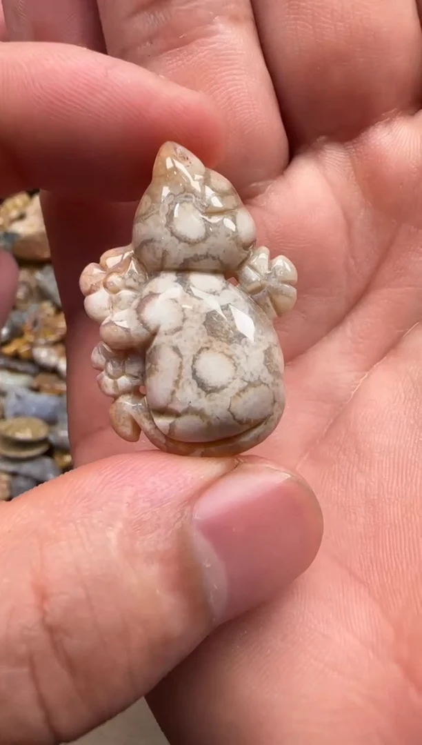 【闪购商品】硅化珊瑚（珊瑚玉）颈饰未镶嵌028