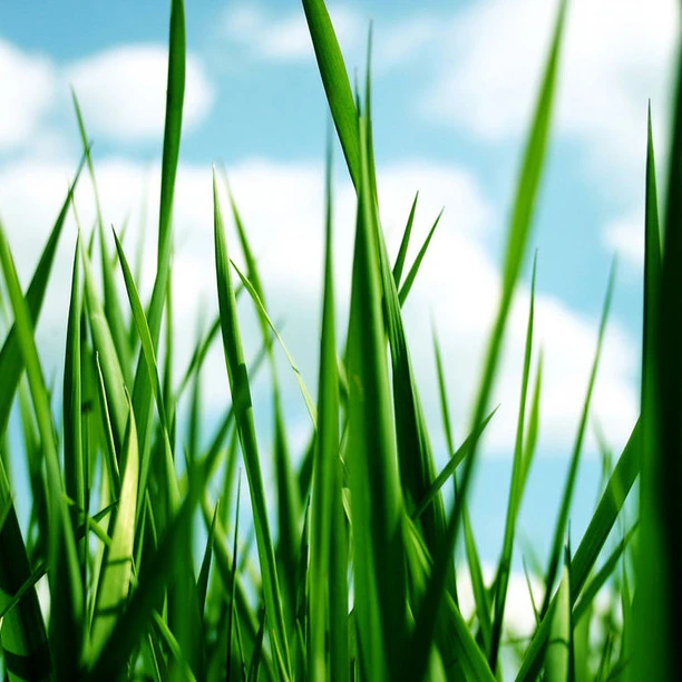 李氏专属 流水摆件17