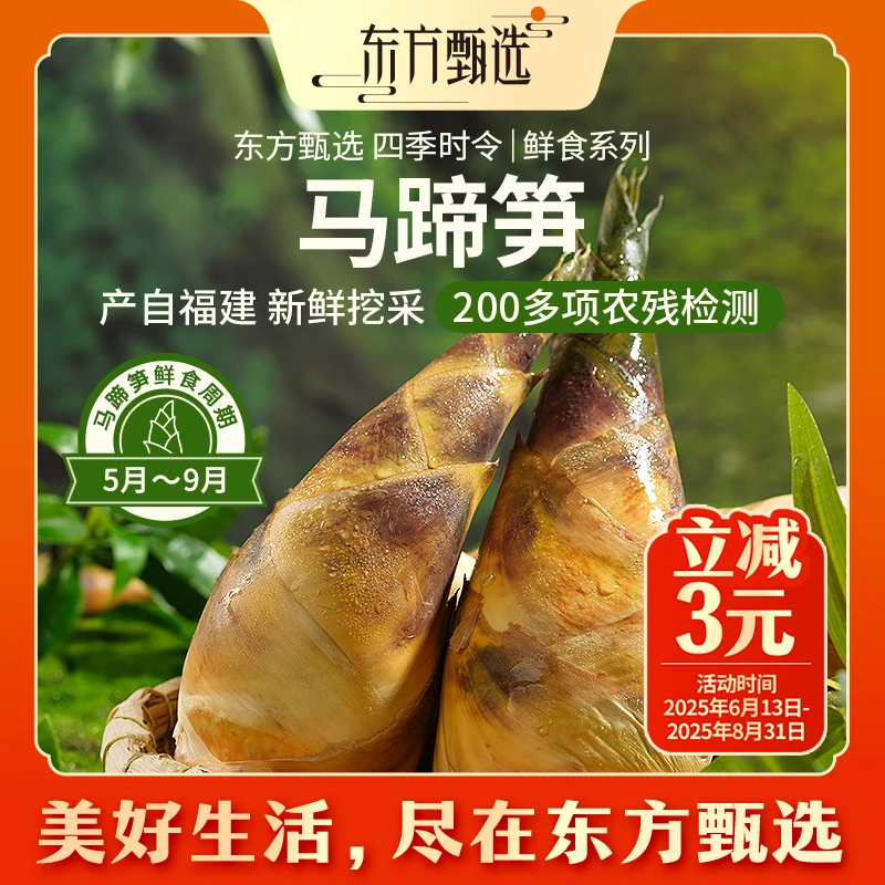 东方甄选自营马蹄笋新鲜采摘脆嫩应季蔬菜农产品坏蔬包赔3斤