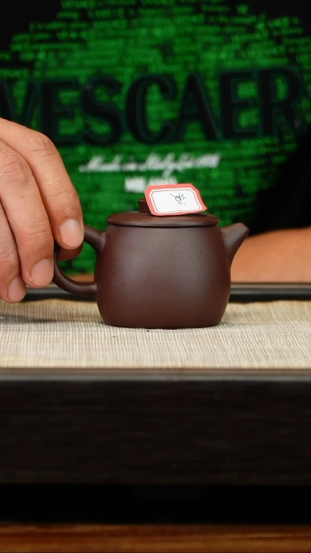 茶壶紫砂学徒工紫泥巨轮