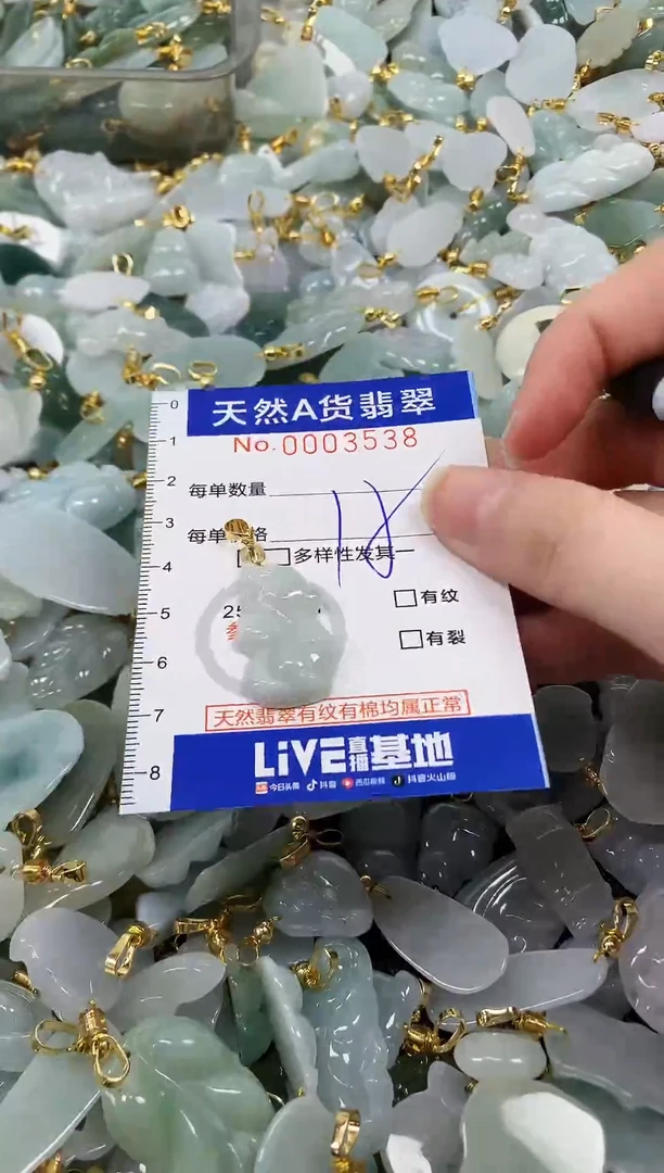 颈饰未镶嵌翡翠纯天然a货翡翠