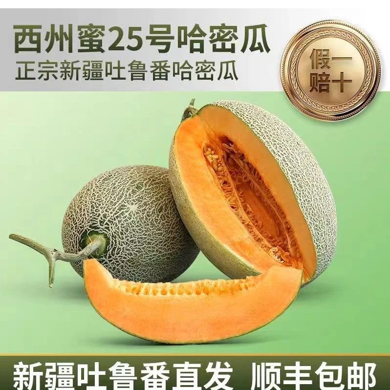 【中秋礼盒装】新疆吐鲁番西州蜜25号哈密瓜清香脆甜新鲜