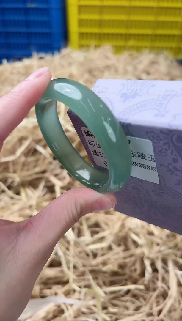 未镶嵌手镯石英质玉D-5287