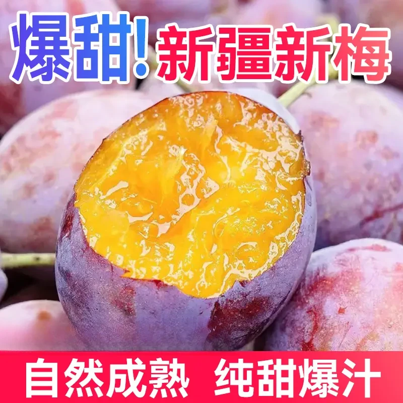 法兰西西梅5斤 新疆特产清甜西梅新鲜水果甜蜜【部分地区可购买】