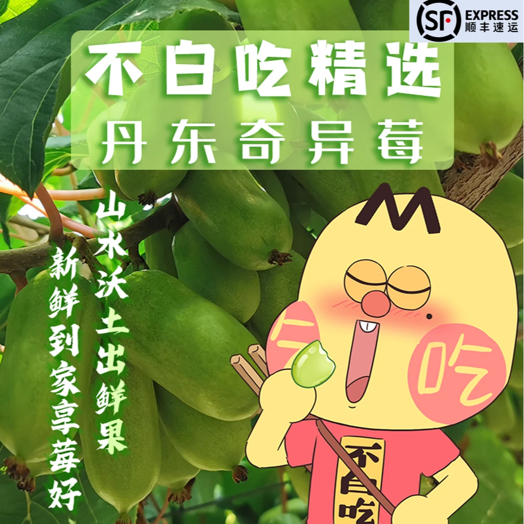 【我是不白吃】东北特产奇异莓 丹东软枣猕猴桃新鲜礼盒1斤/2斤/3斤