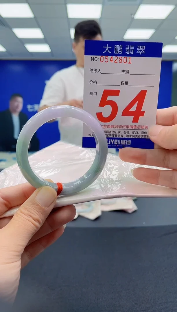 未镶嵌手镯翡翠AAAAAAAAAA1
