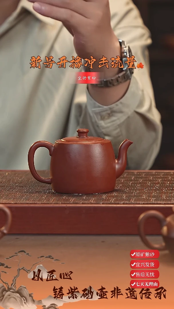 茶杯紫砂宜兴紫砂壶 井栏 红皮龙