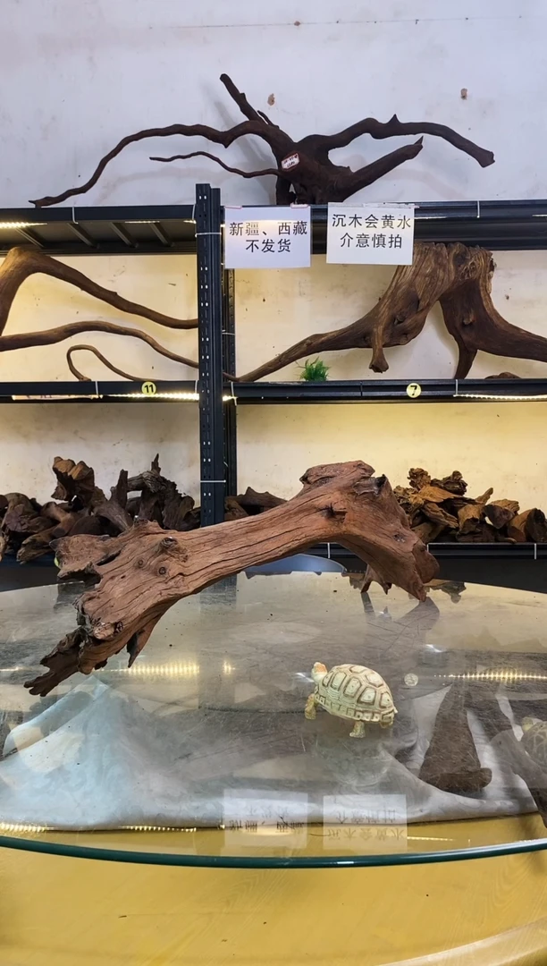 【闪购商品】柚木木艺鱼缸造景素材311