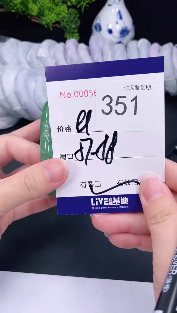 未镶嵌手镯翡翠351