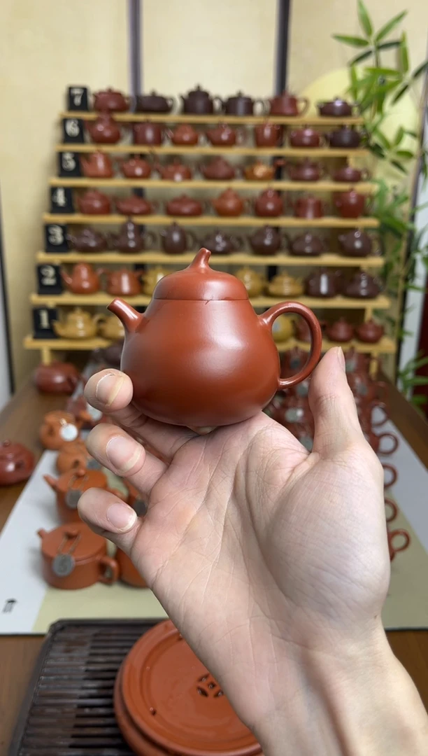 a****档茄瓜100cc带证书礼盒