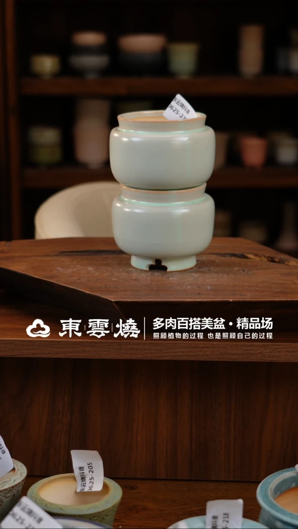 0625-231B宫灯幻境内口6.5随机一只