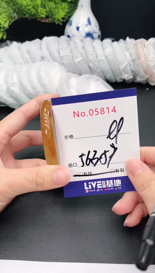 未镶嵌手镯翡翠5814