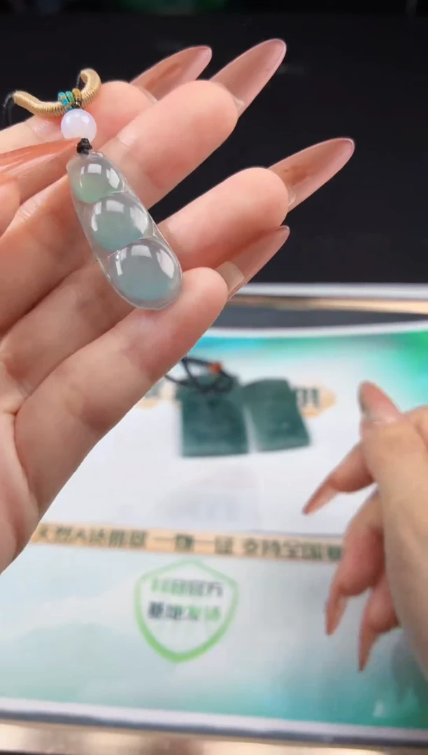 翡翠未镶嵌颈饰FLFD-01-多样性发其一