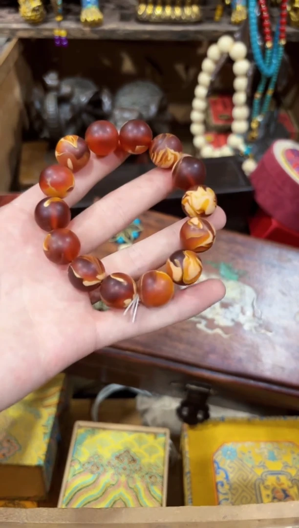 香榧木-----------------