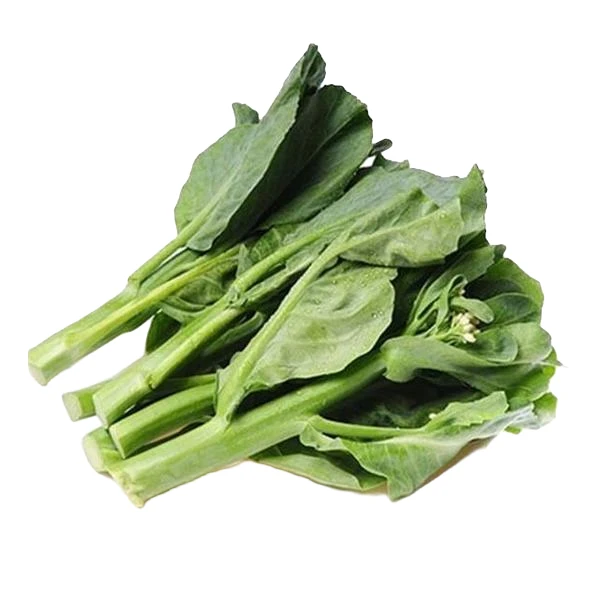 【无农残】非转老品种芥蓝500g昆明次日达