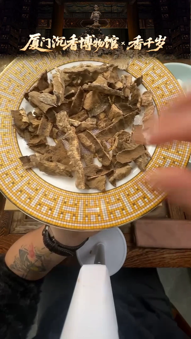 线香香港虎斑鸡母虫漏 5g（赠5g）多样性发货到手10g