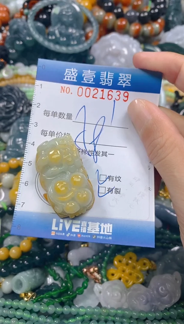 颈饰未镶嵌翡翠闪购0021639