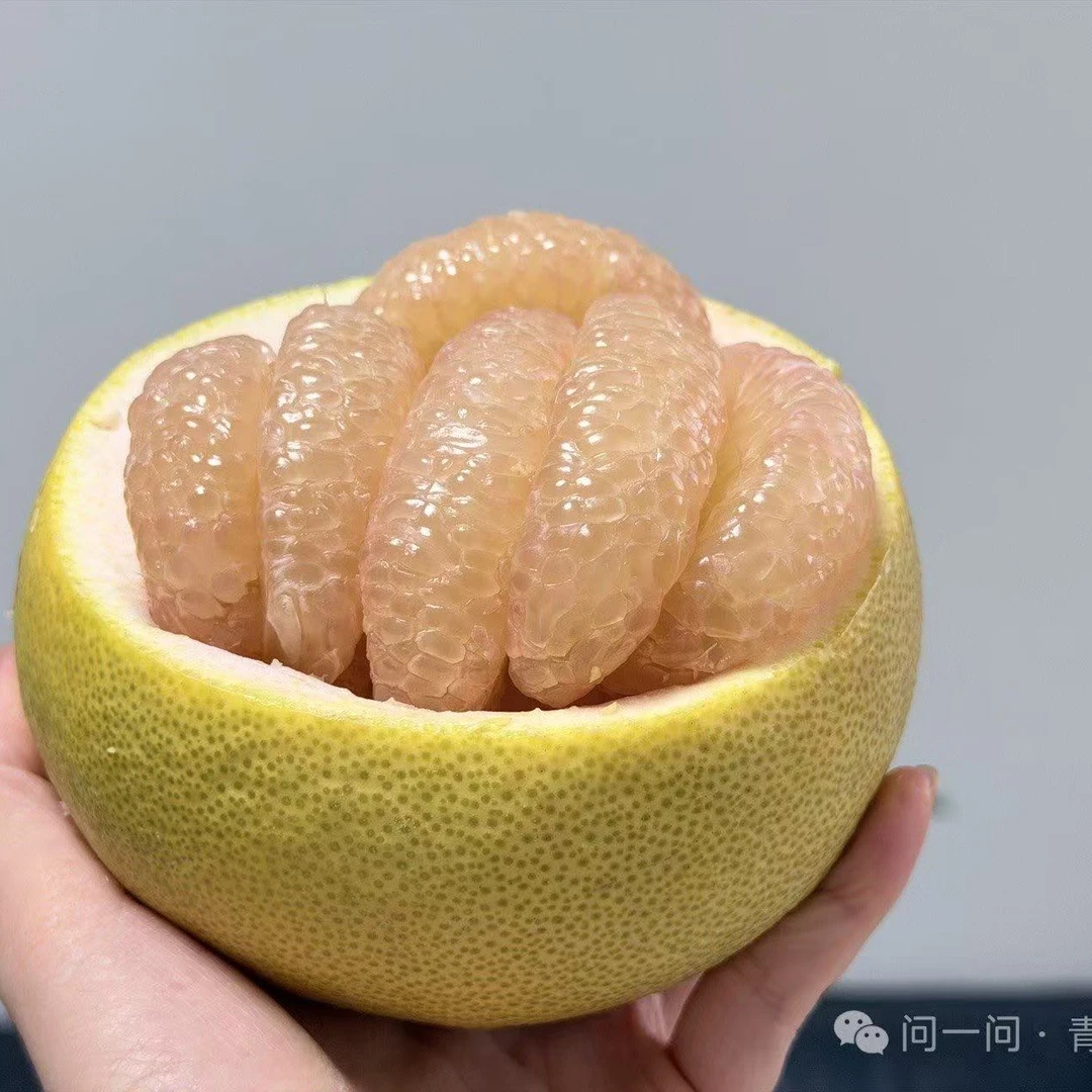 文旦柚  一个3.5-3.8斤