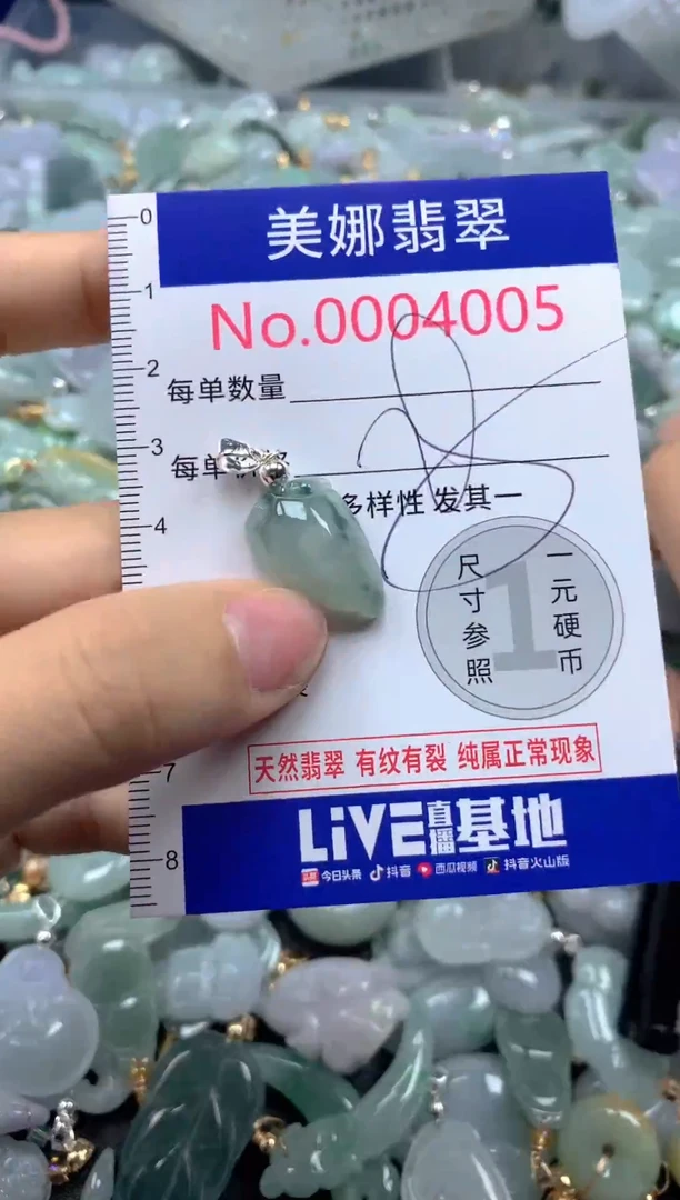 颈饰未镶嵌翡翠4005