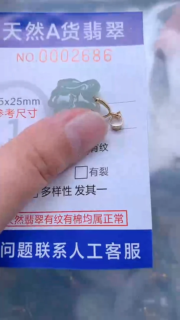 翡翠未镶嵌吊坠(不含链)1