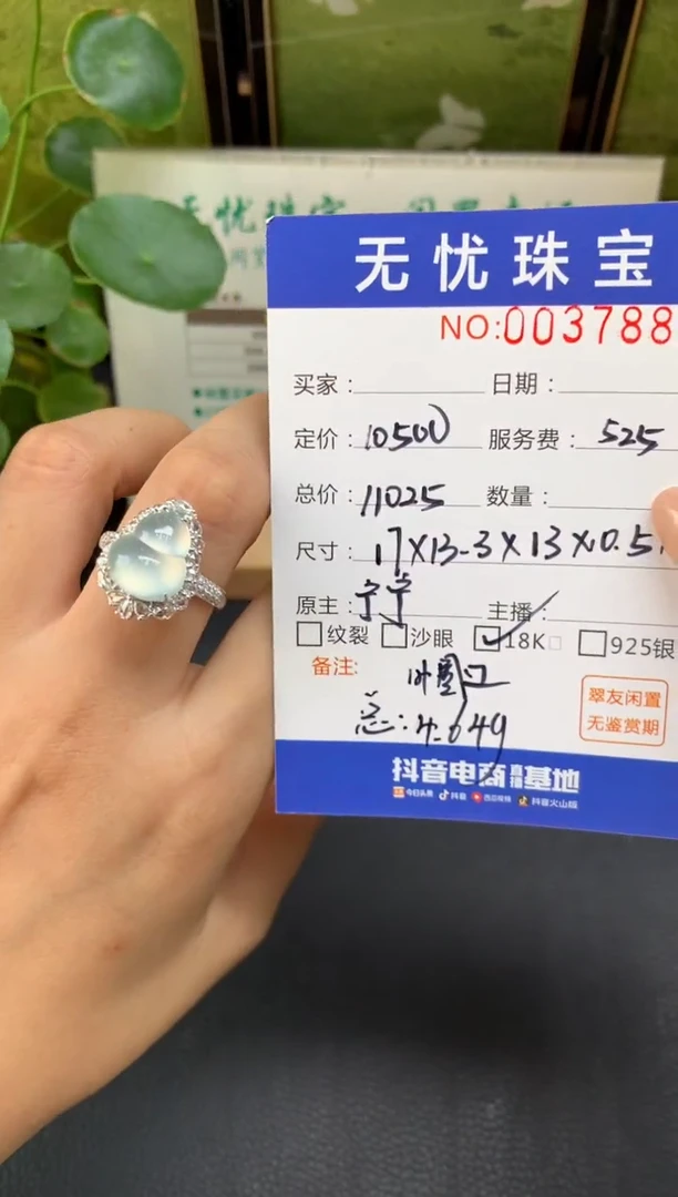 18K金镶嵌定制翡翠高*E886