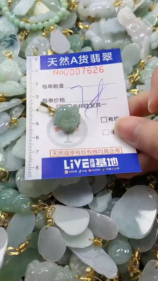 颈饰未镶嵌翡翠纯天然a货翡翠