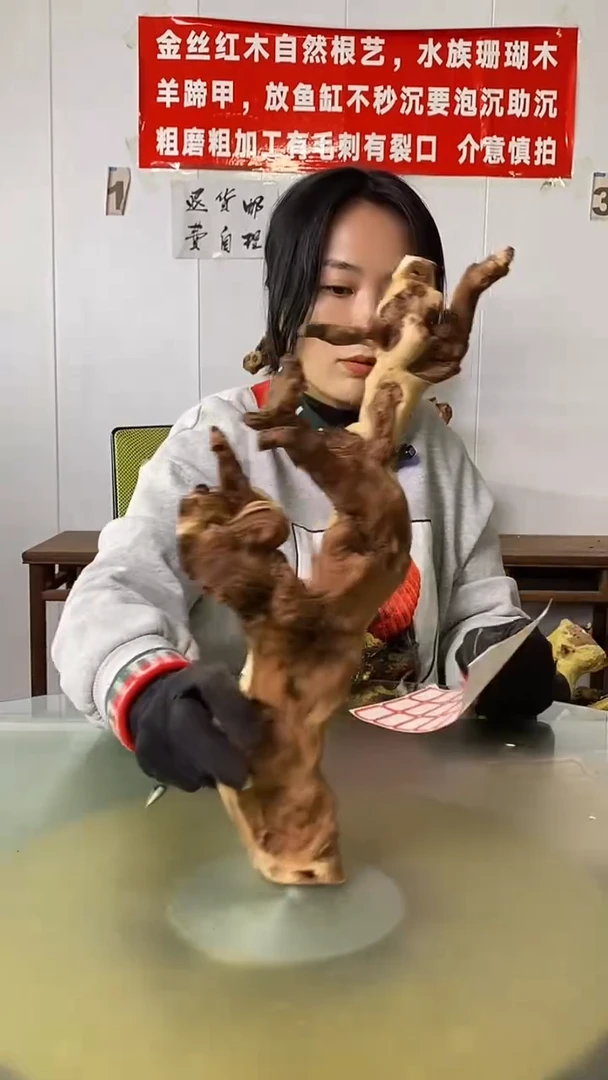 木D**告金丝红木  羊蹄甲
