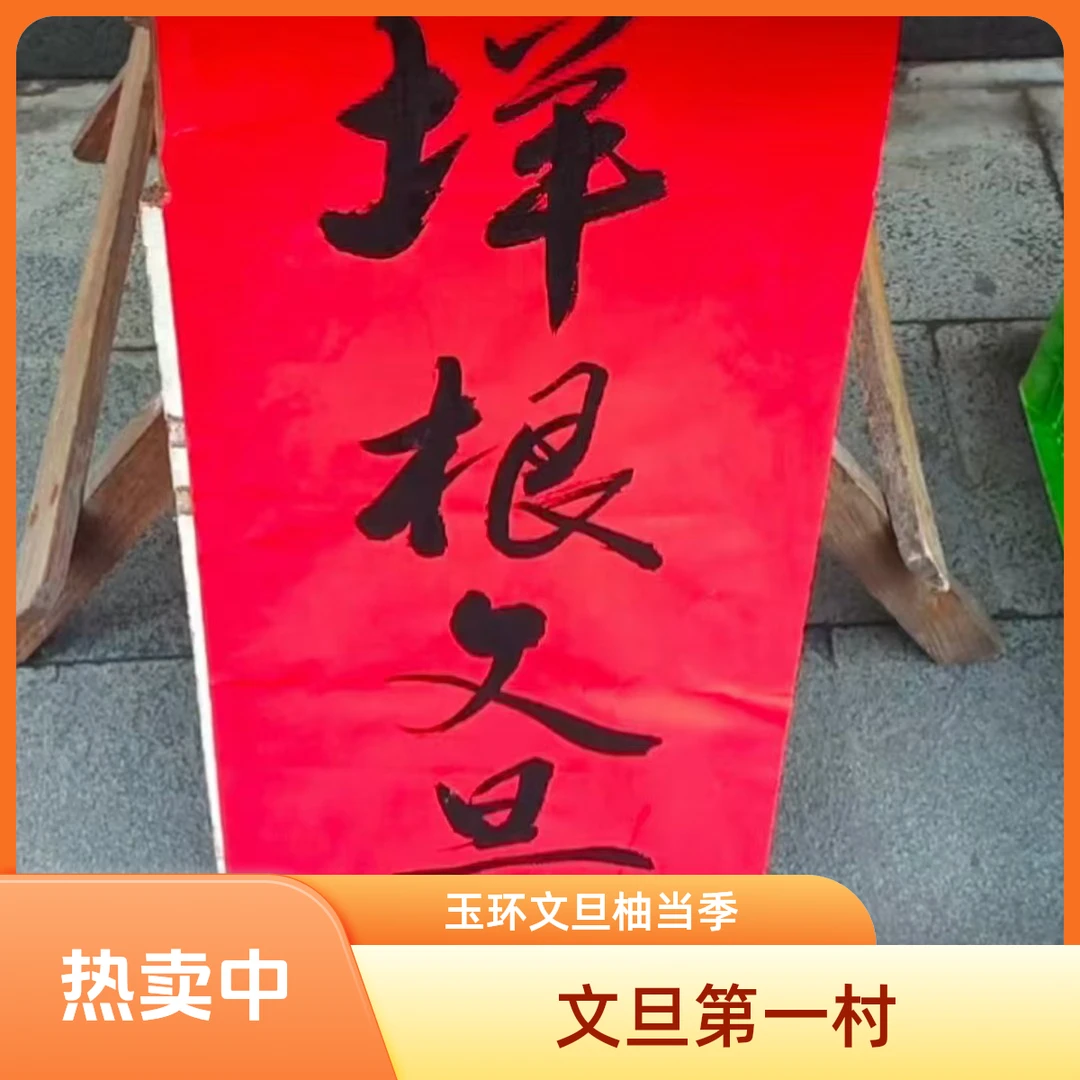 正宗玉环文旦柚当季新鲜水果盐碱地大棚果优质口感