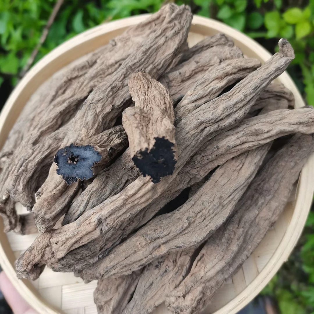 高山高海拔珍藏乌金参 熹菊山房专属 非枸杞