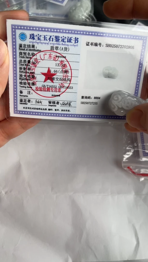 翡翠未镶嵌颈饰貔貅
