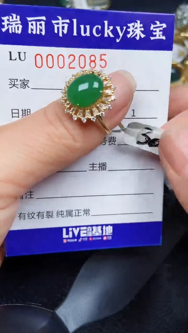 翡翠银S925镶嵌颈饰2085