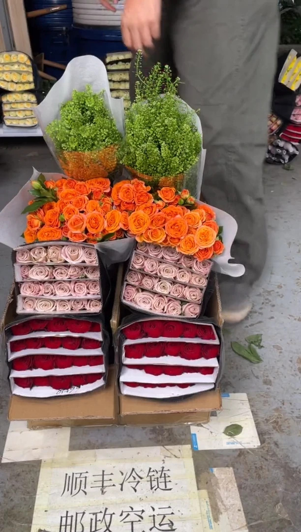 高原红20枝+曼塔20枝+橙色芭比10枝+绿林草