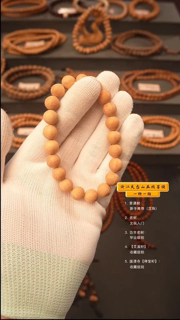 吊坠五线菩提手串