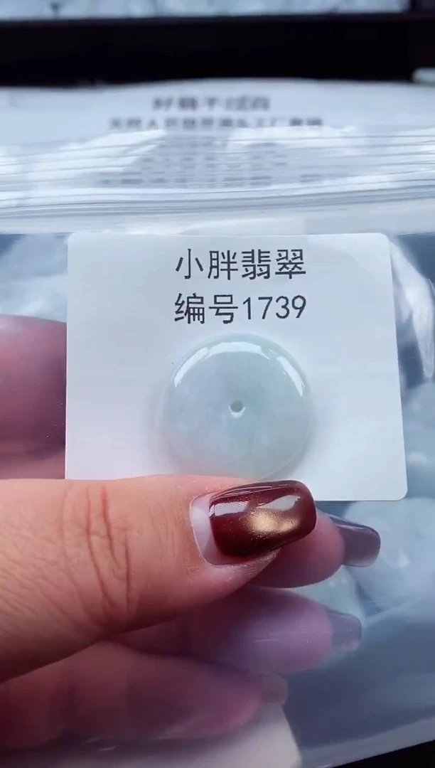 颈饰未镶嵌翡翠缅甸天然A货翡翠1739