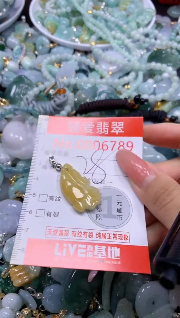 翡翠未镶嵌吊坠(不含链)6789