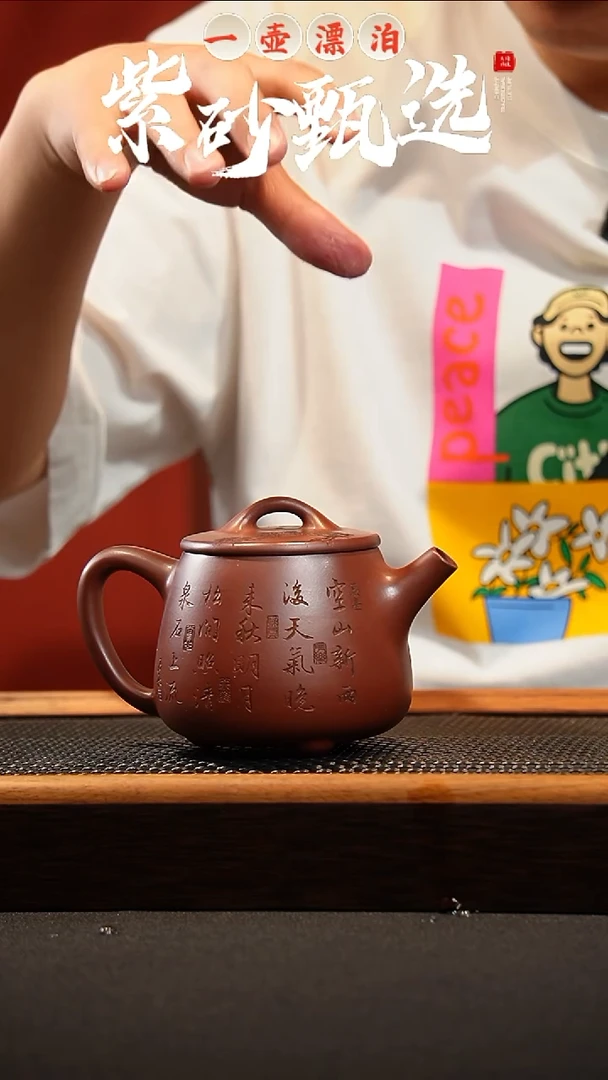 茶壶紫砂 一壶漂泊紫砂茶器6010